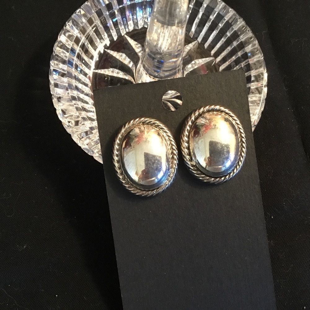 Shiny Silvertone Oval Earring with Rope Bezel